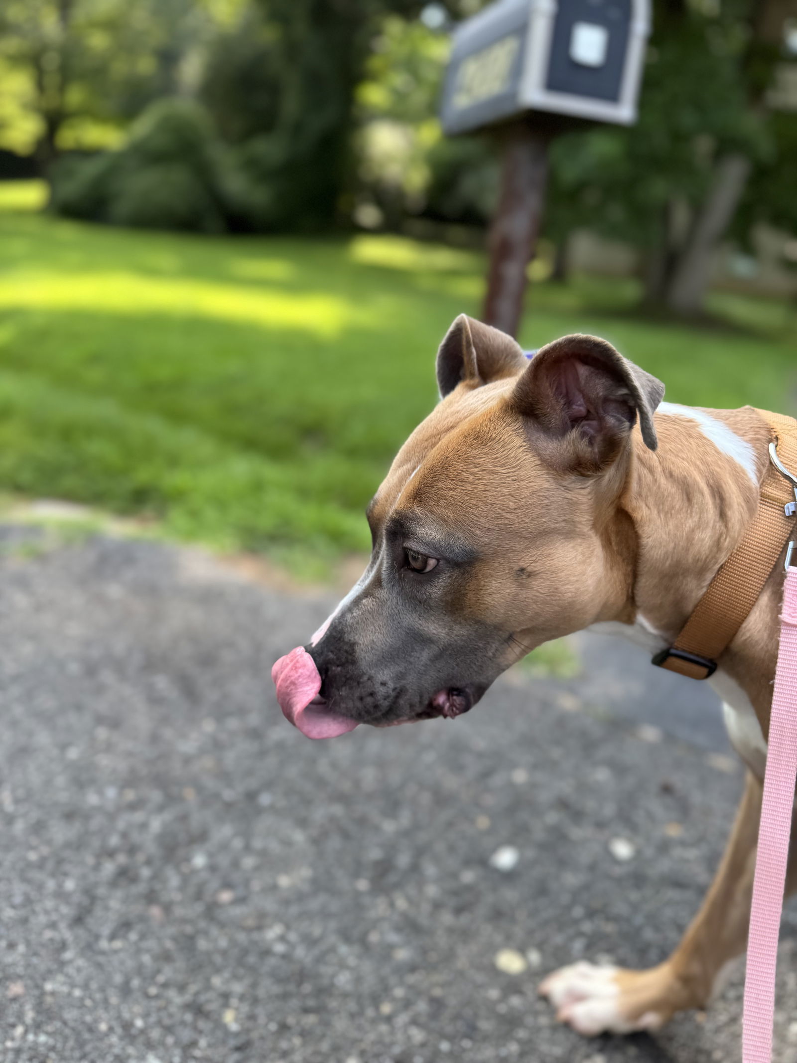 Luna (Pepsi)