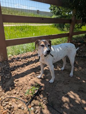Jack (Courtesy), Adult Male unknown