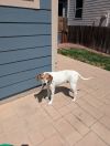 Jack (Courtesy) photo 3