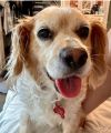 Mylo Man photo 3