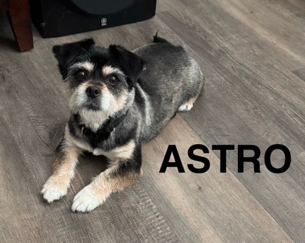Astro