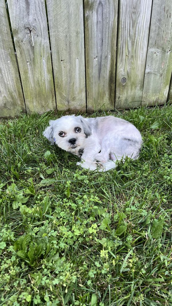 Walley