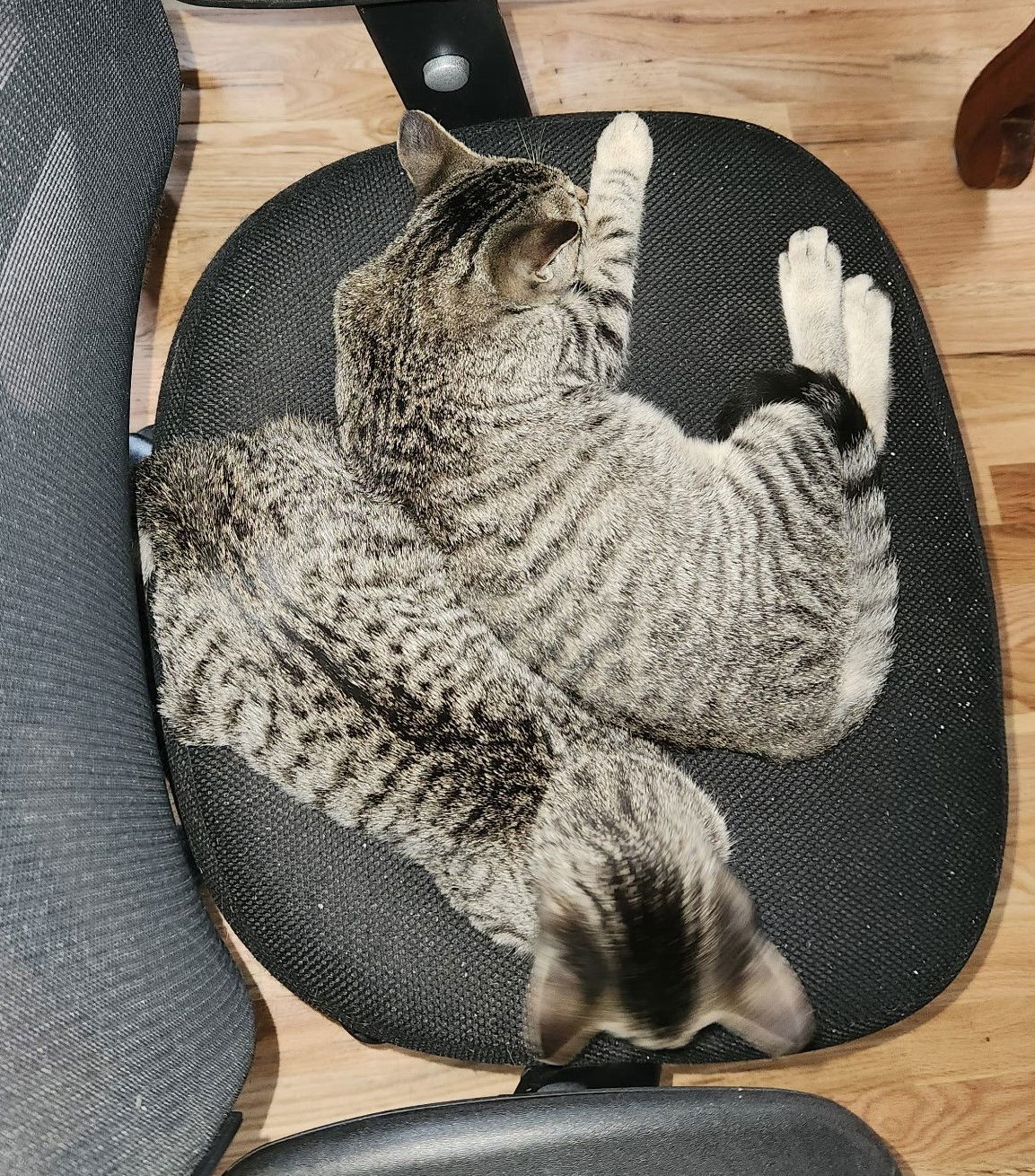 Tigger
