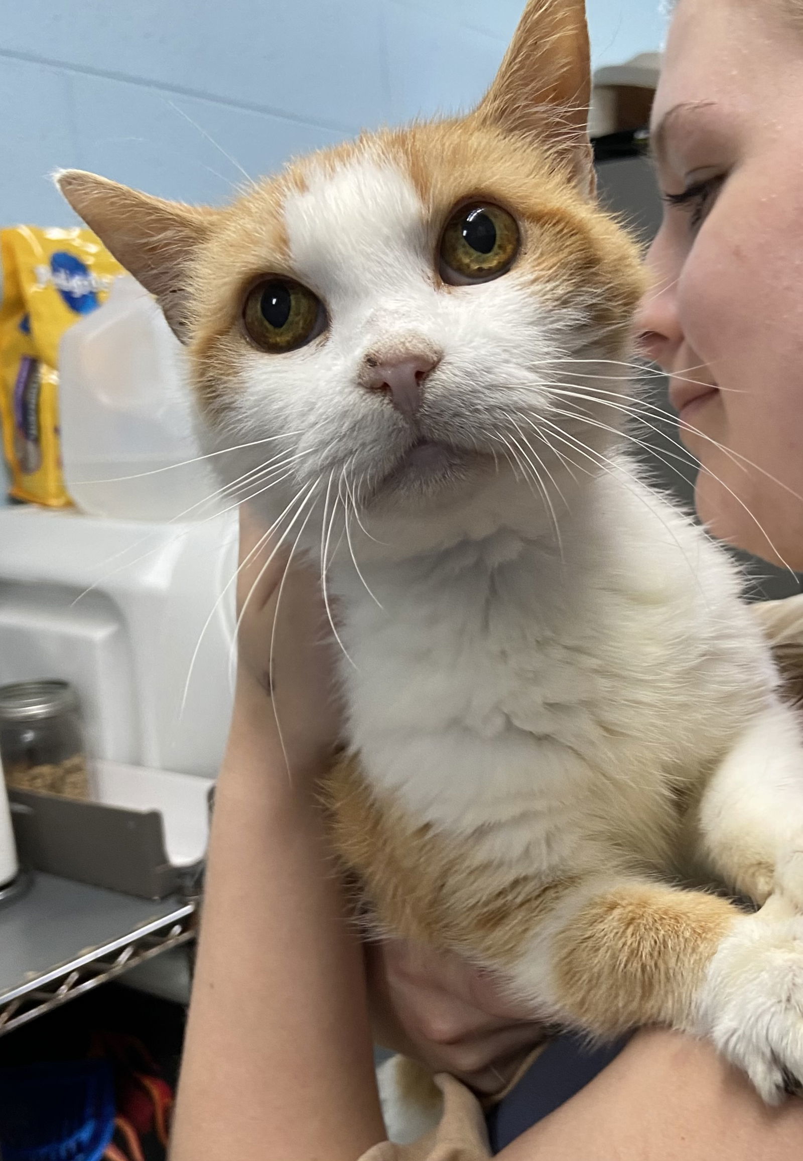 Cora: At shelter