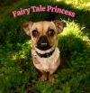 Fairy Princess photo 1
