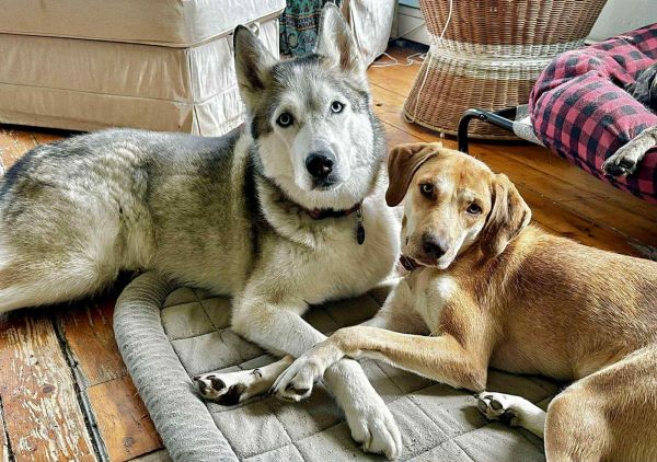 Hazel Jane thumbnail 2