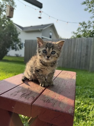 Zoe