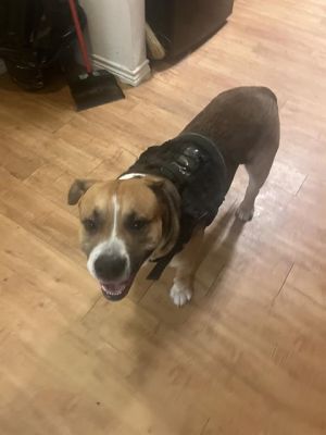 KANE, Adult Male unknown
