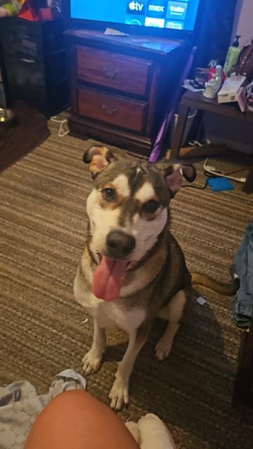 MARCO