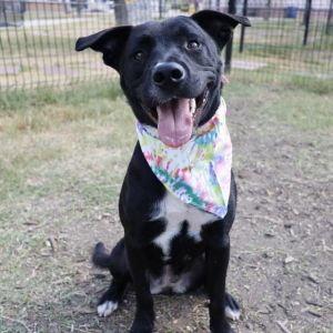 ZOEY, Young Female unknown