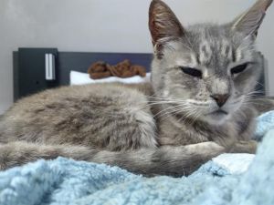 DALE, Senior Male unknown