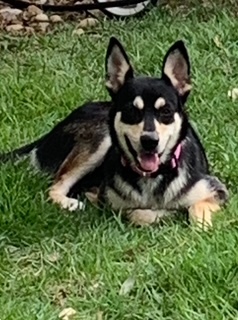 LINDA