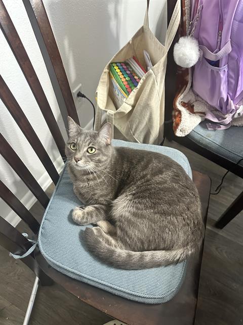 PJ