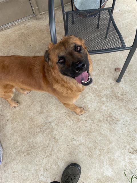 VADER