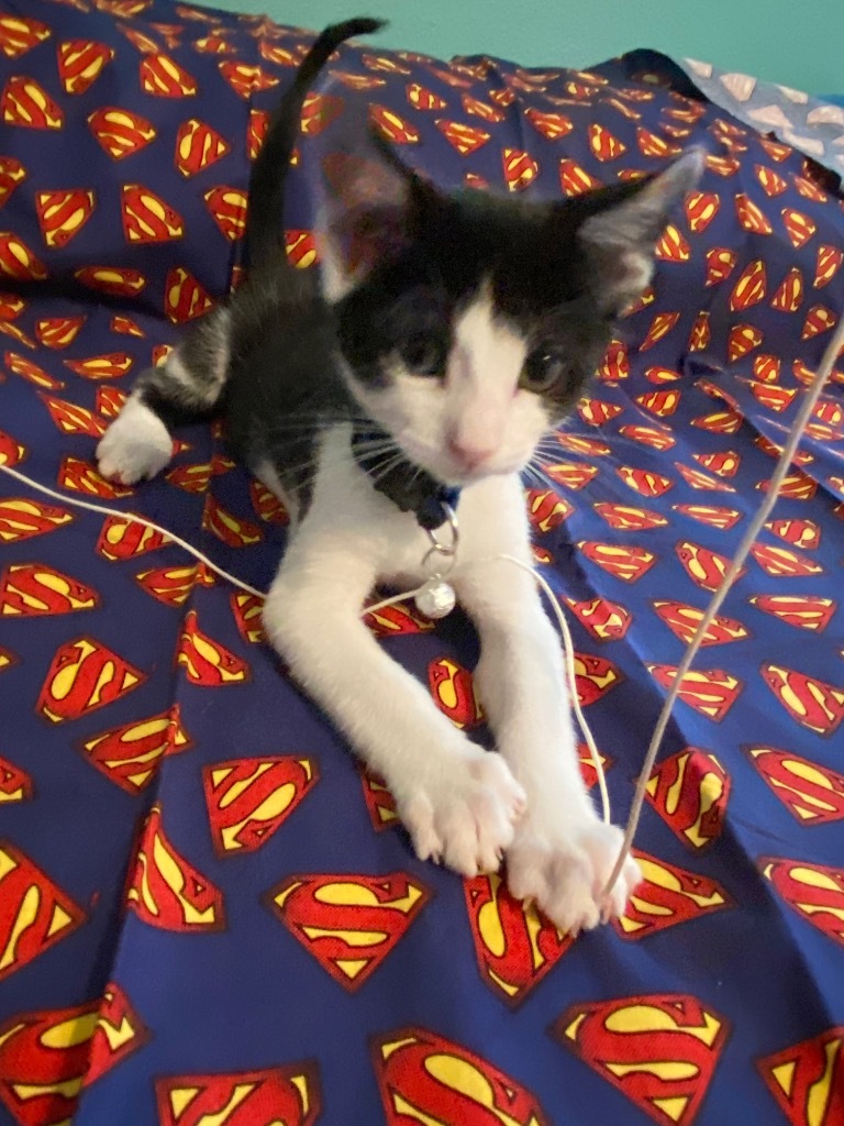 Clark Kent