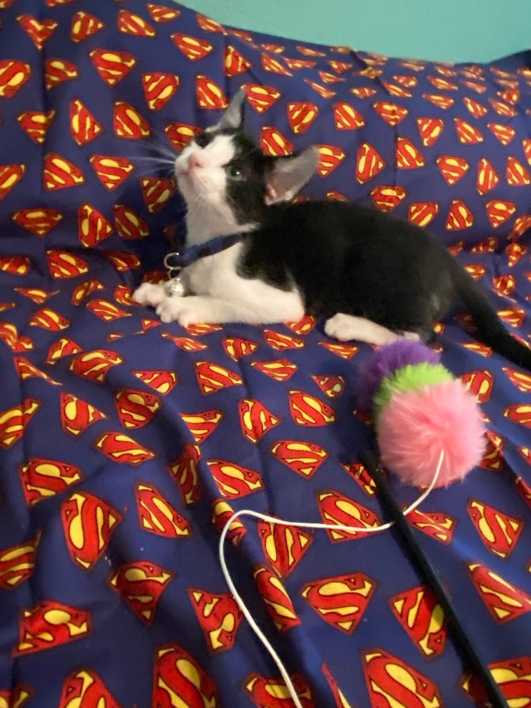 Clark Kent