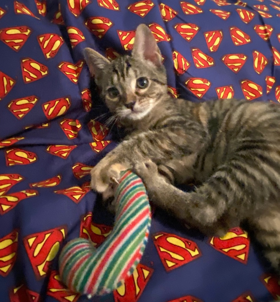 Lois Lane