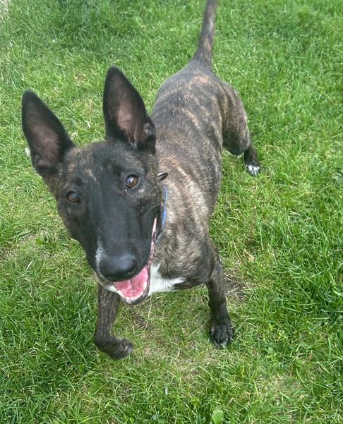 Demi (Denver)