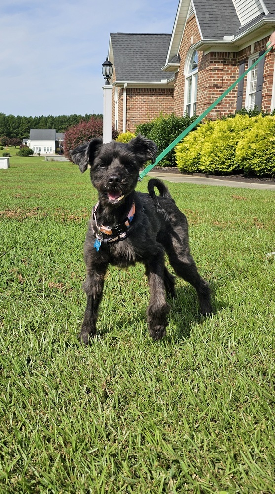 Chewy