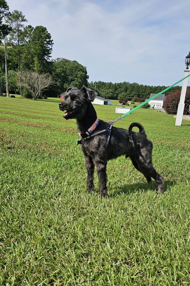 Chewy