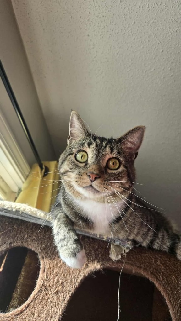 Fred (Benjamin)