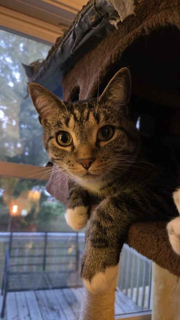 Fred (Benjamin)