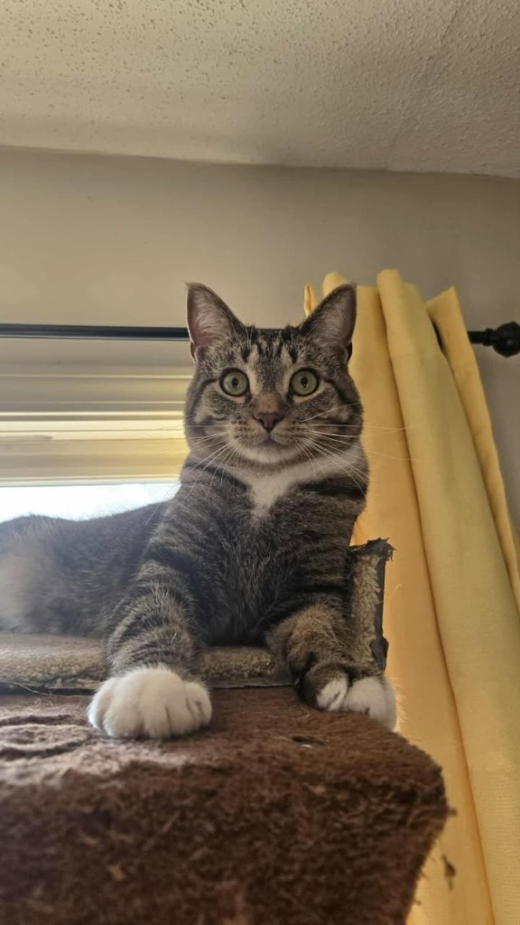 Fred (Benjamin)