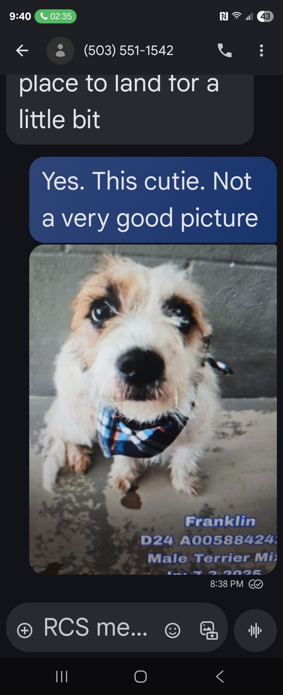 Skipper