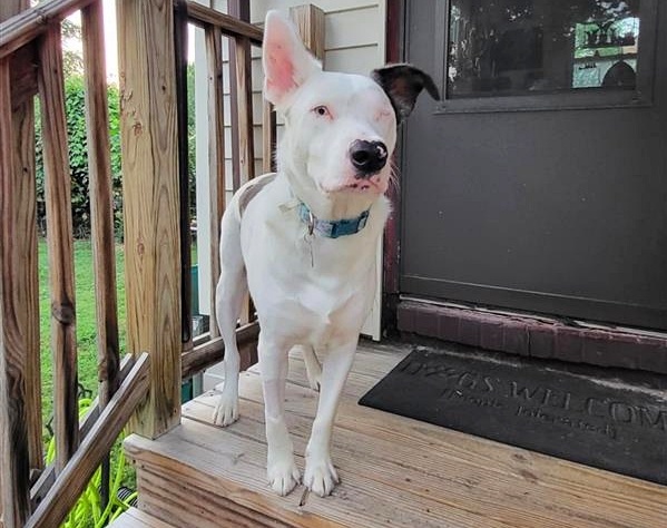 KODI