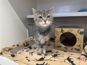 MOE, Senior Male unknown
