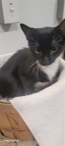 MAX, Young Male unknown