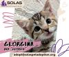 Georgina "Georgie" -- (Lh)