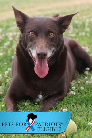 Barney, Senior Male unknown