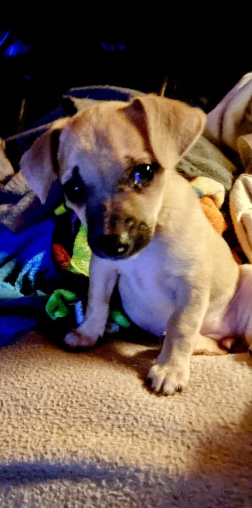 Fiona