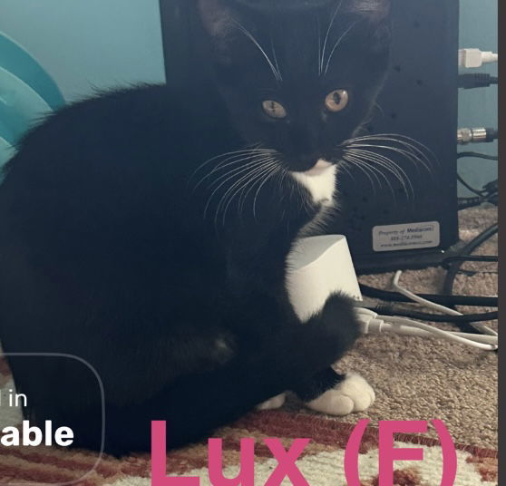 Lux