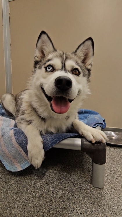 Kira