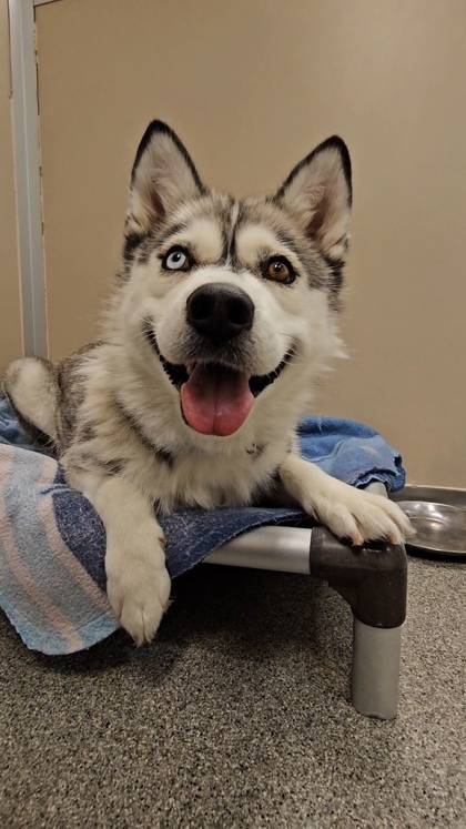 Kira