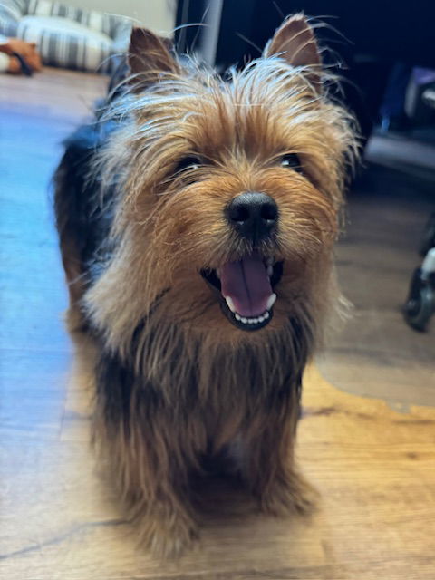 Edgar