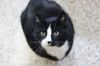 Mylo photo 1