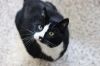 Mylo photo 2