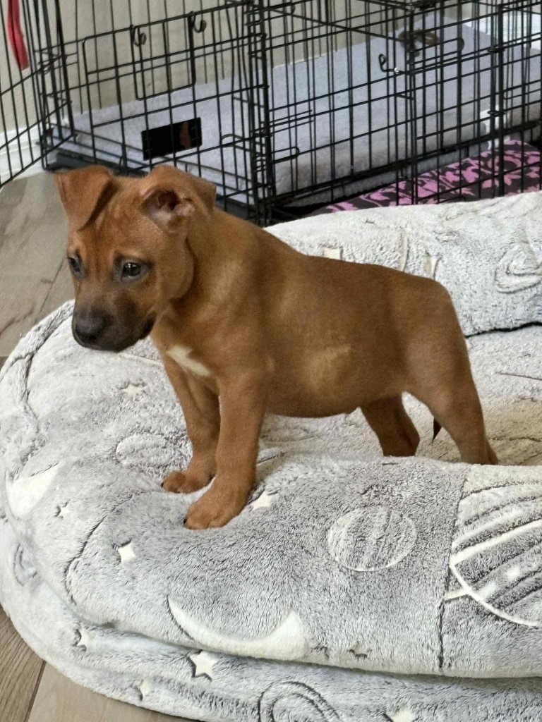 Tucker