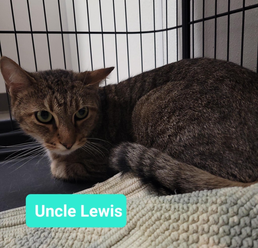Uncle Lewis