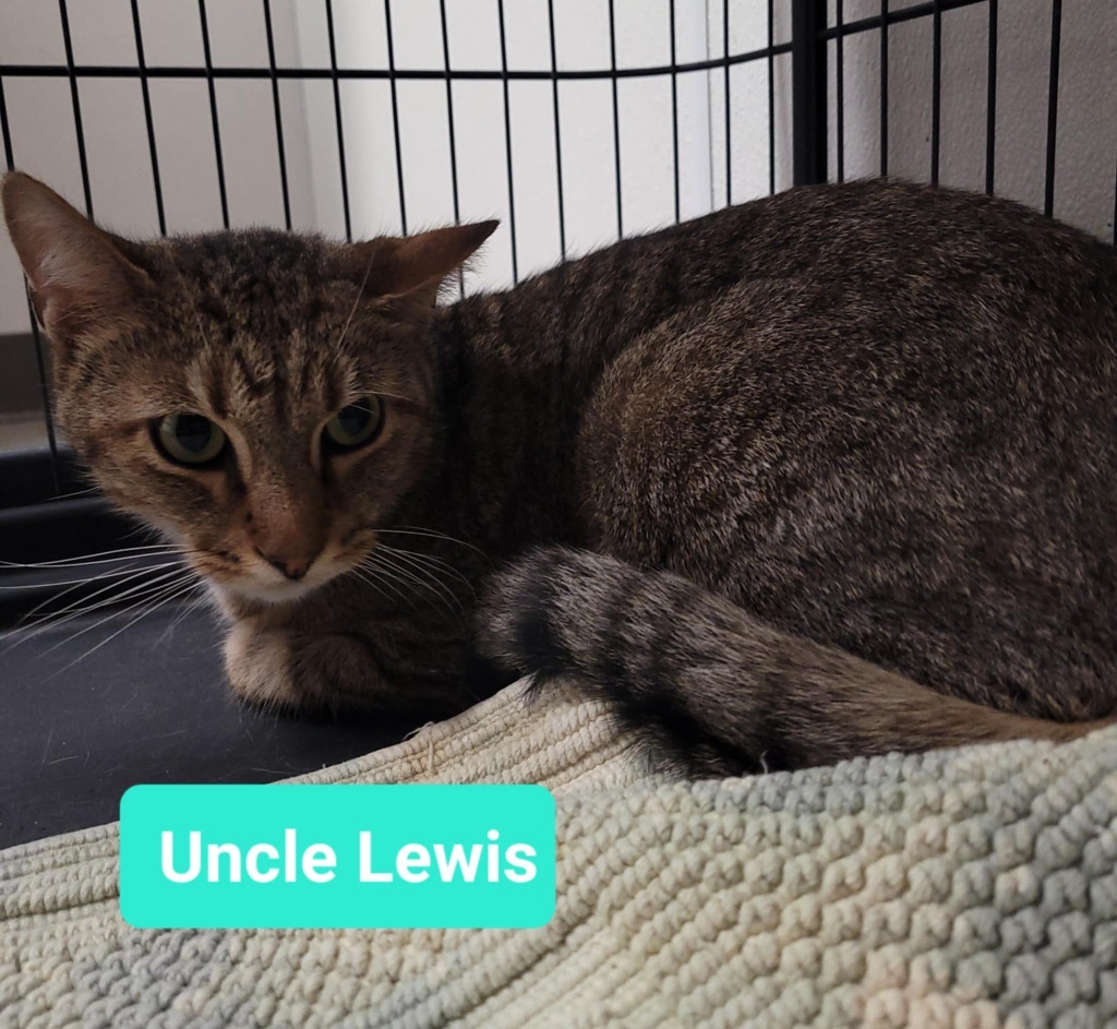 Uncle Lewis
