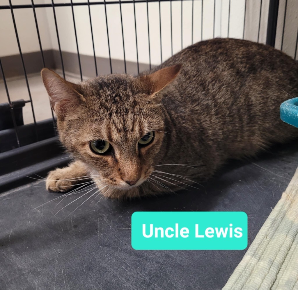 Uncle Lewis