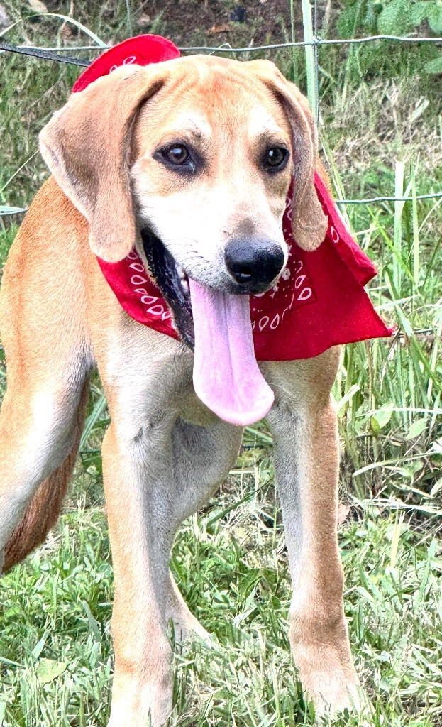 JR