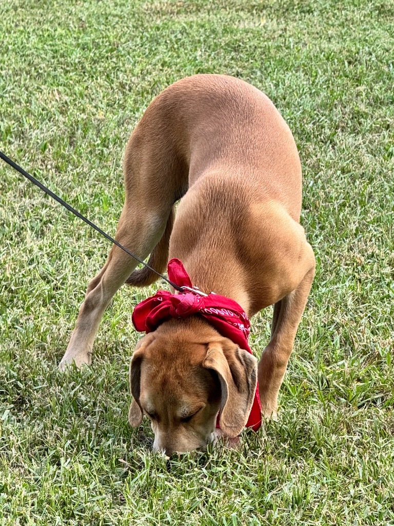 JR