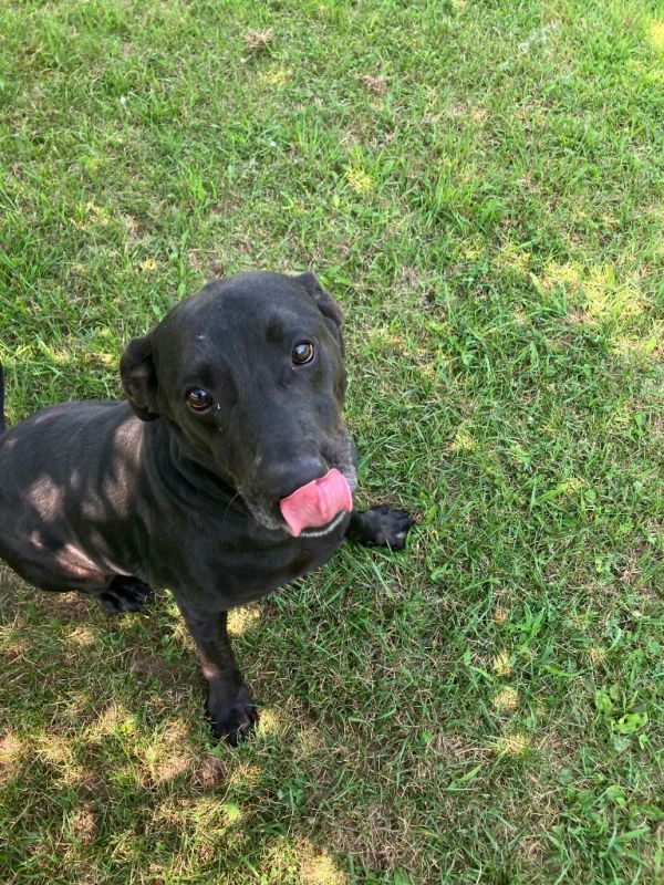 Duke
