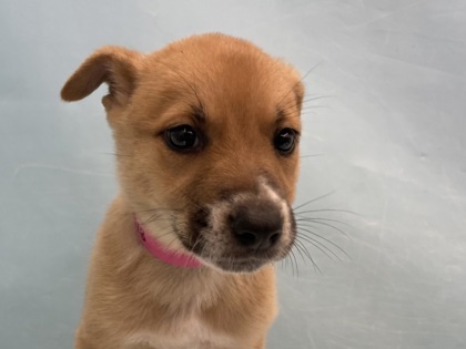 Winnie