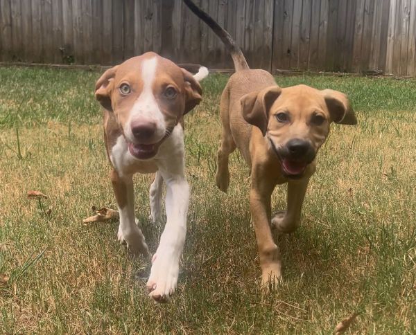 Howie And Kaysar  thumbnail 2