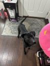 Oswald photo 1